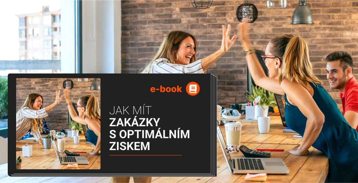 E-book: How to Run Projects with Optimal Profitability